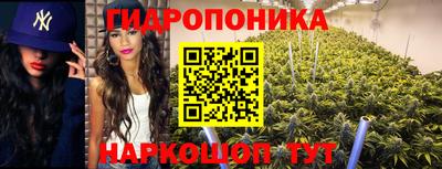 прущие грибы Абинск