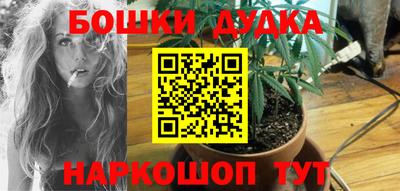 прущие грибы Абинск