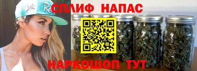 спиды Брянск