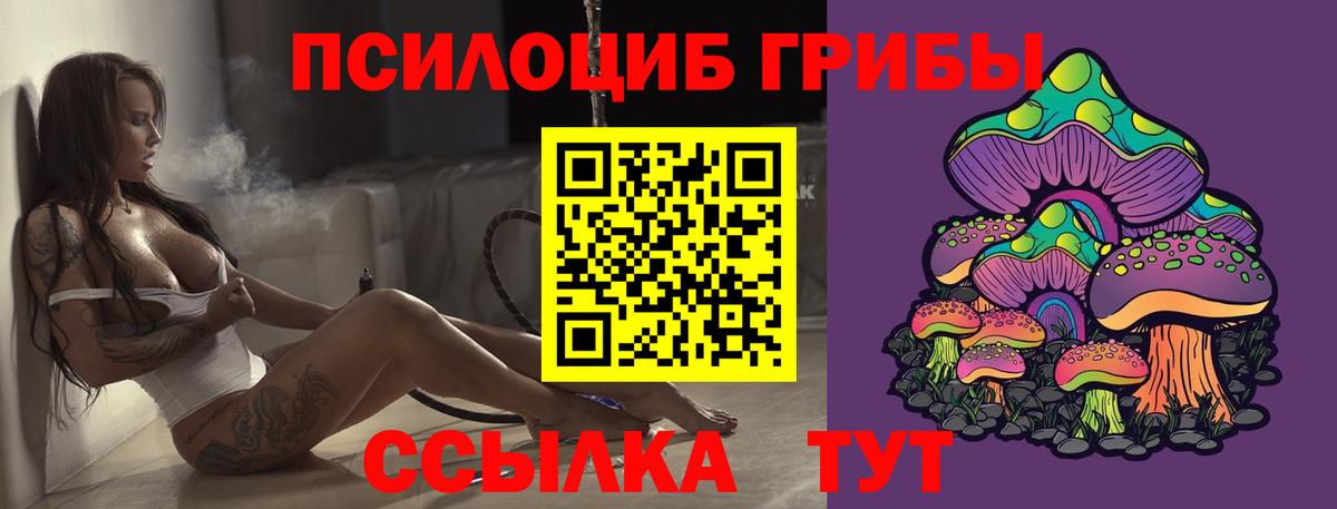 Галлюциногенные грибы Psilocybine cubensis Альметьевск
